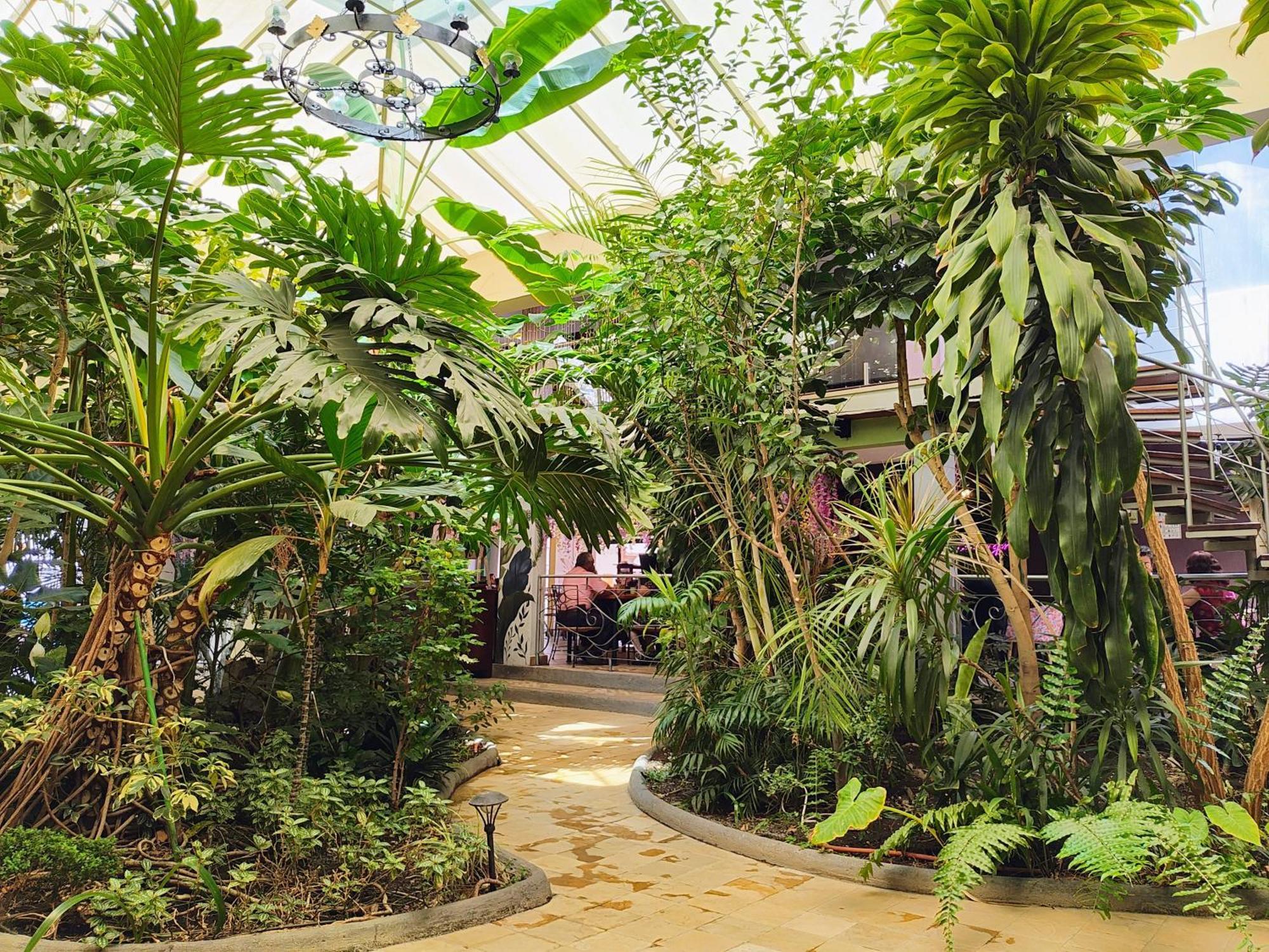 Hotel Jardines Del Centro San Cristóbal de Las Casas المظهر الخارجي الصورة